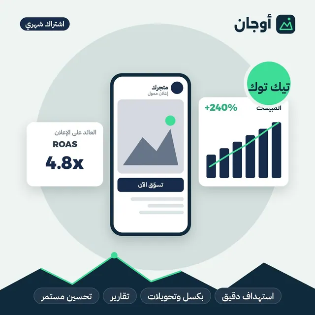 إدارة حملات تيك توك شهريًا