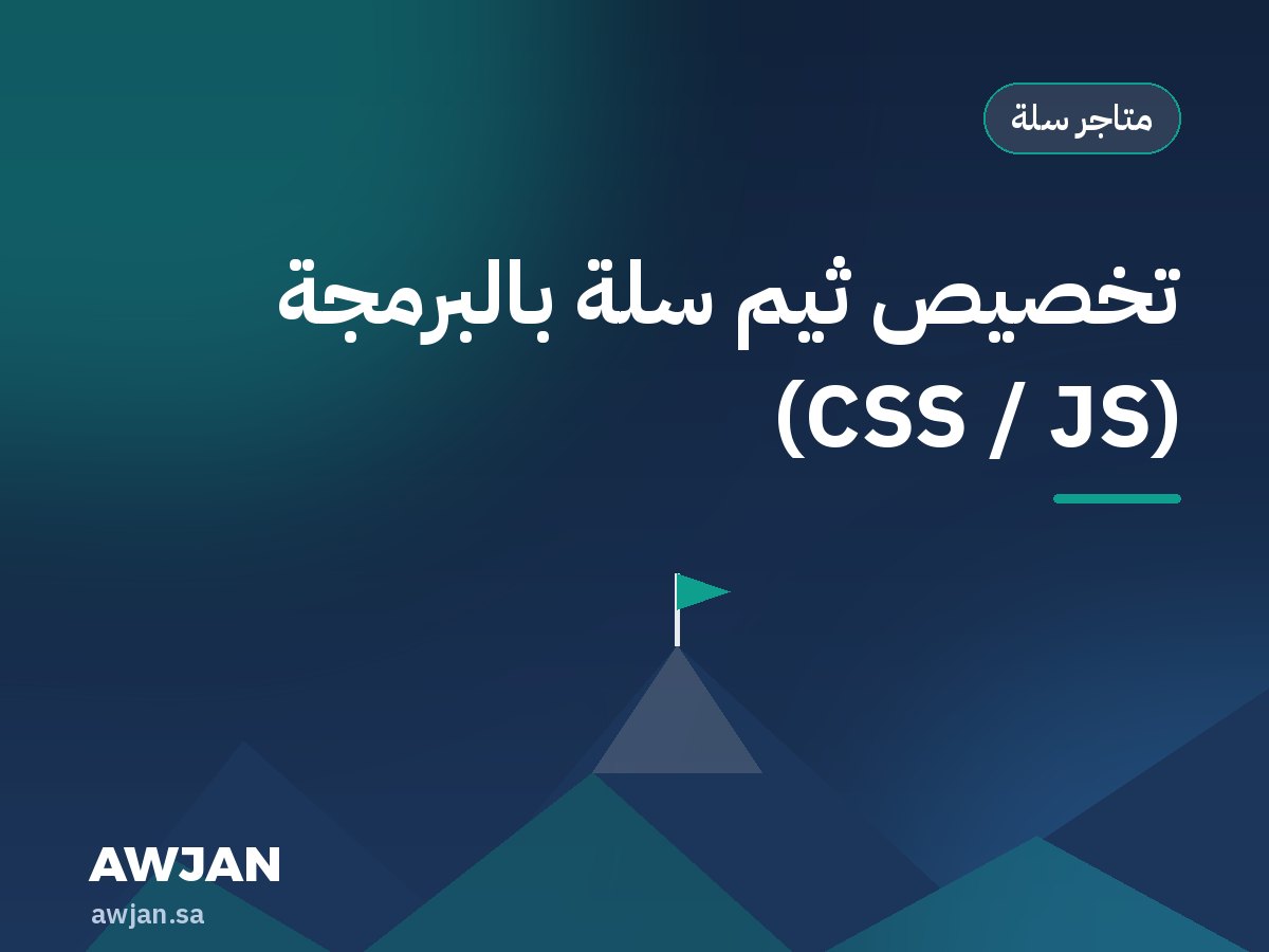 Custom Salla theme coding (CSS / JS)