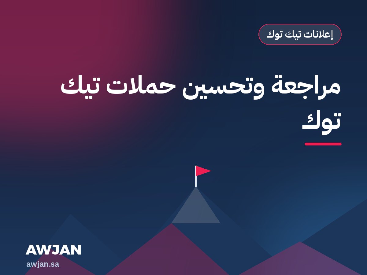 TikTok campaign audit