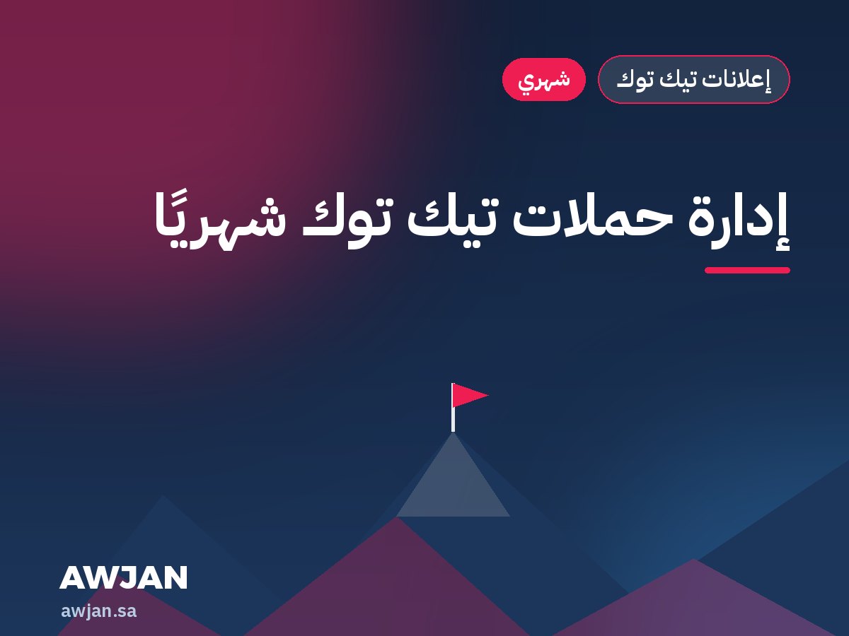 Monthly TikTok ads management