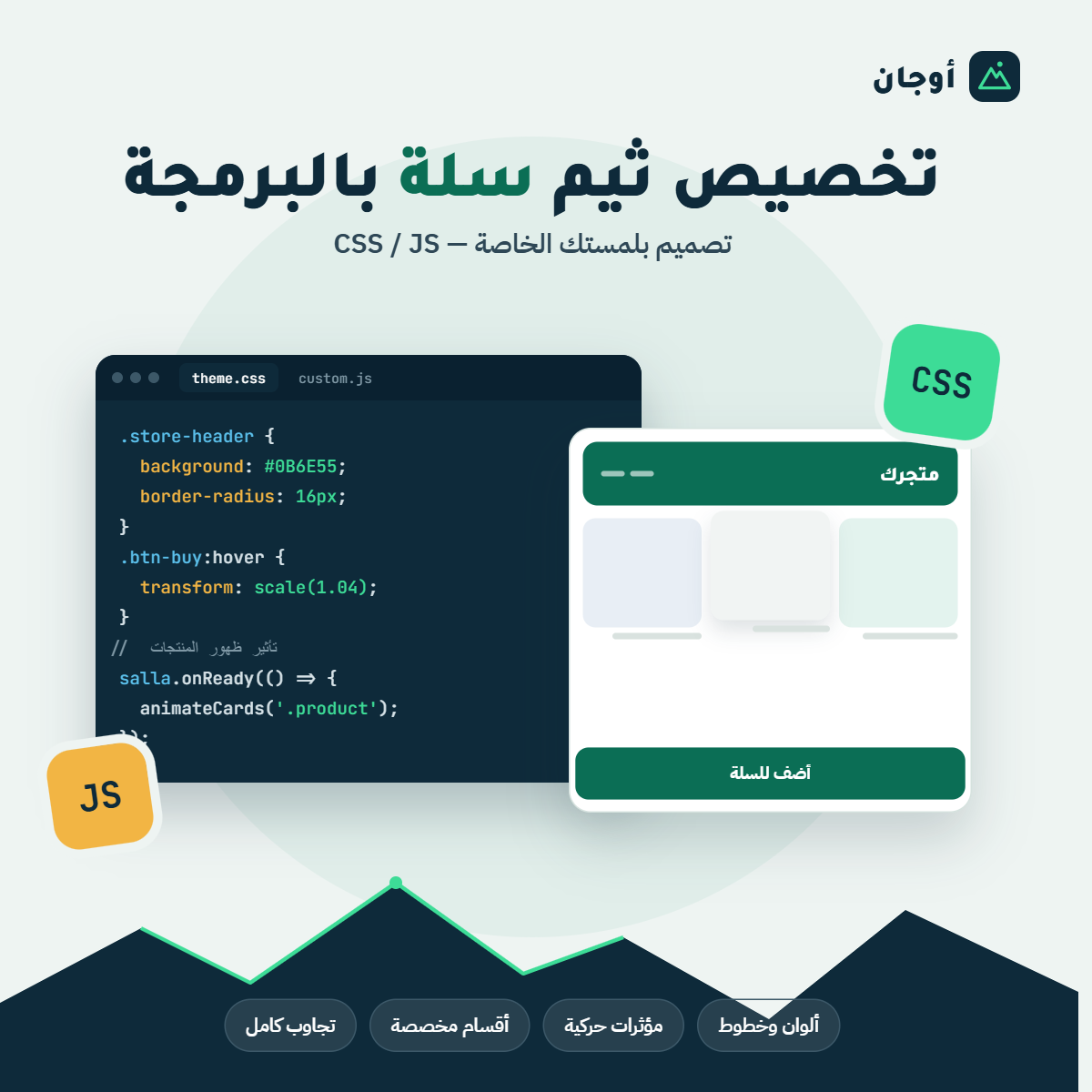 تخصيص ثيم سلة بالبرمجة (CSS / JS)